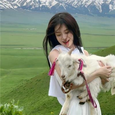 最后机会大学:篮球第二季